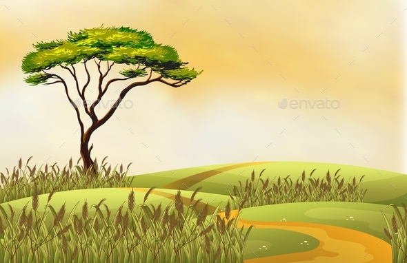 GraphicRiver Field 11021505 GraphicRiver Field 11021505