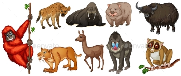 GraphicRiver Wild Animals 11026923 GraphicRiver Wild Animals 11026923