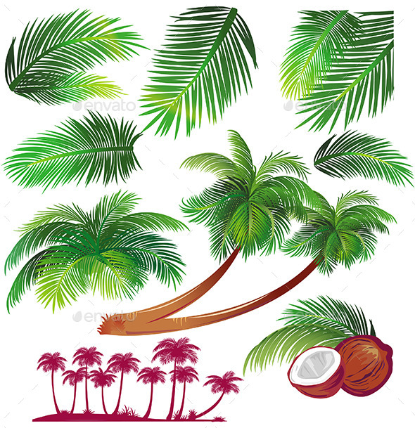 GraphicRiver Tropical Palms 11031517 GraphicRiver Tropical Palms 11031517