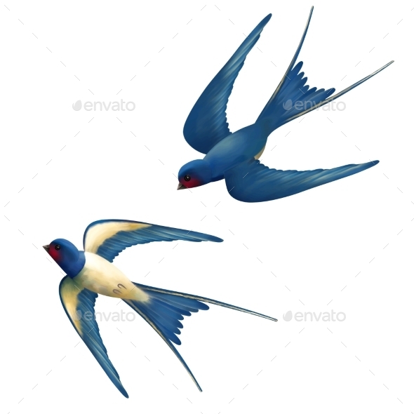 GraphicRiver Vector Flying Swallows 11034875 GraphicRiver Vector Flying Swallows 11034875