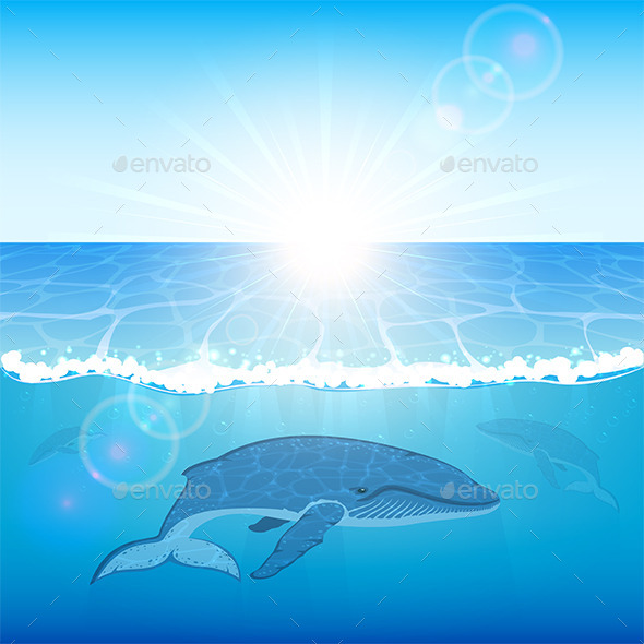 GraphicRiver Whales in Ocean 11042209 GraphicRiver Whales in Ocean 11042209