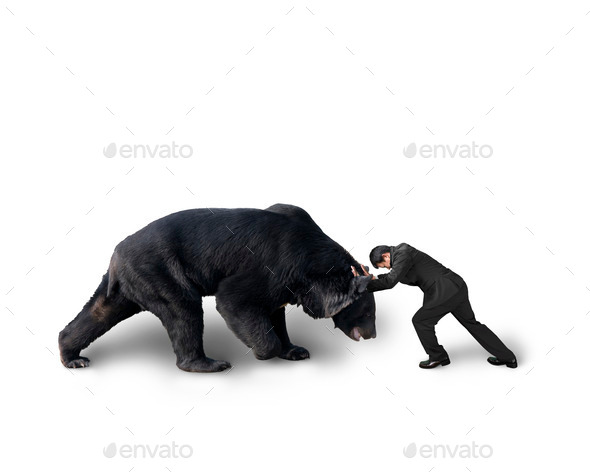 Businessman fighting against black bear isolated on white (Misc) Photo Download