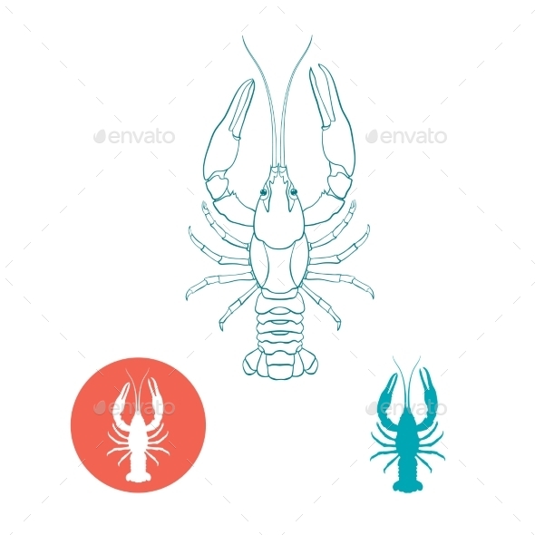 GraphicRiver Crayfish 11068581 GraphicRiver Crayfish 11068581