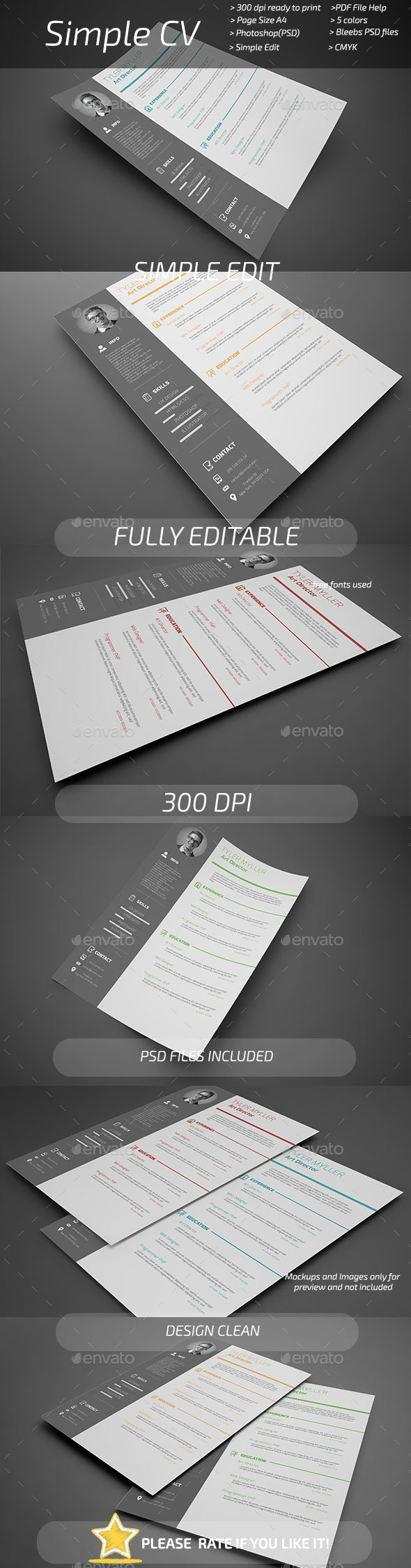 GraphicRiver Simple CV 11069364 GraphicRiver Simple CV 11069364