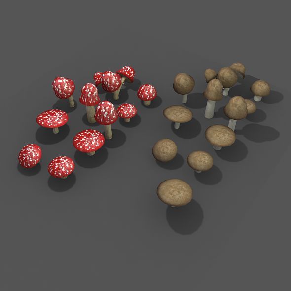 3DOcean Mushroom and Toadstools 11071059 3DOcean Mushroom and Toadstools 11071059