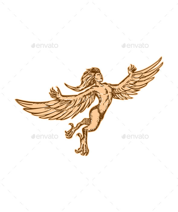 GraphicRiver Harpy Flying Front Etching 11071466 GraphicRiver Harpy Flying Front Etching 11071466