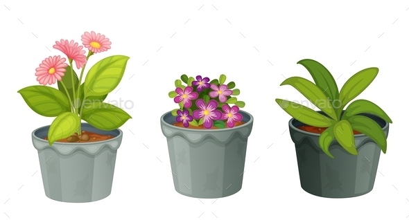 GraphicRiver Plants 11073591 GraphicRiver Plants 11073591
