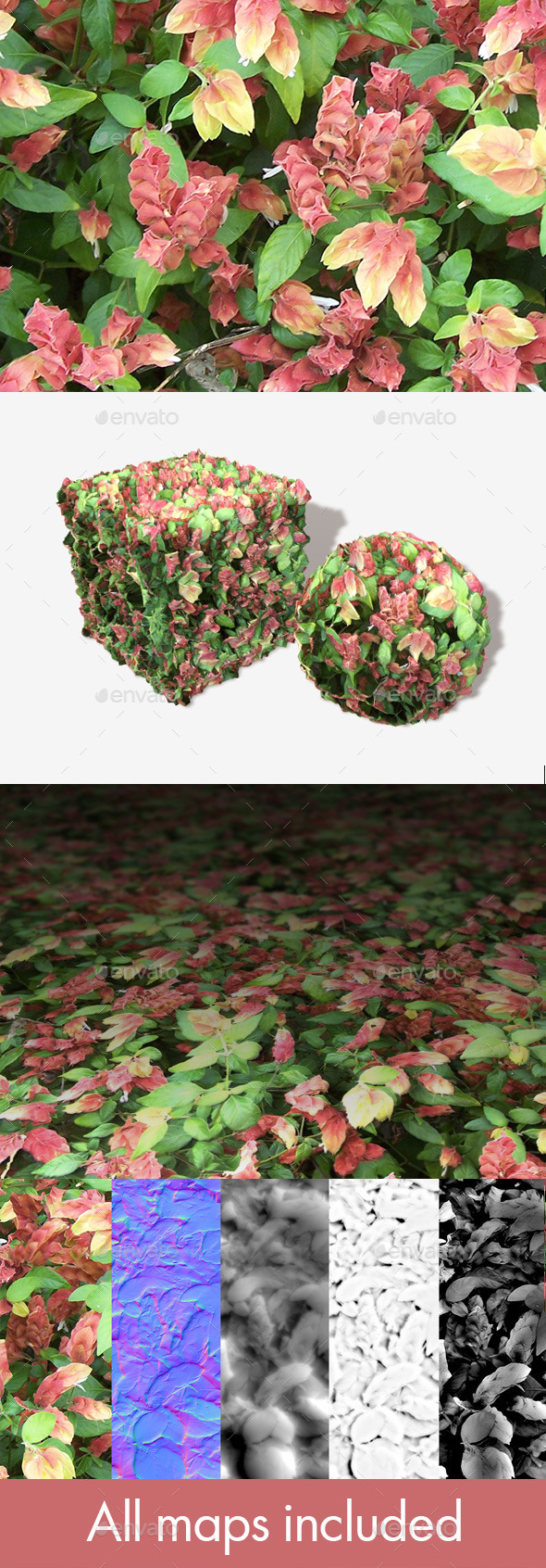 3DOcean Strange Plants Seamless Texture 11077474 3DOcean Strange Plants Seamless Texture 11077474