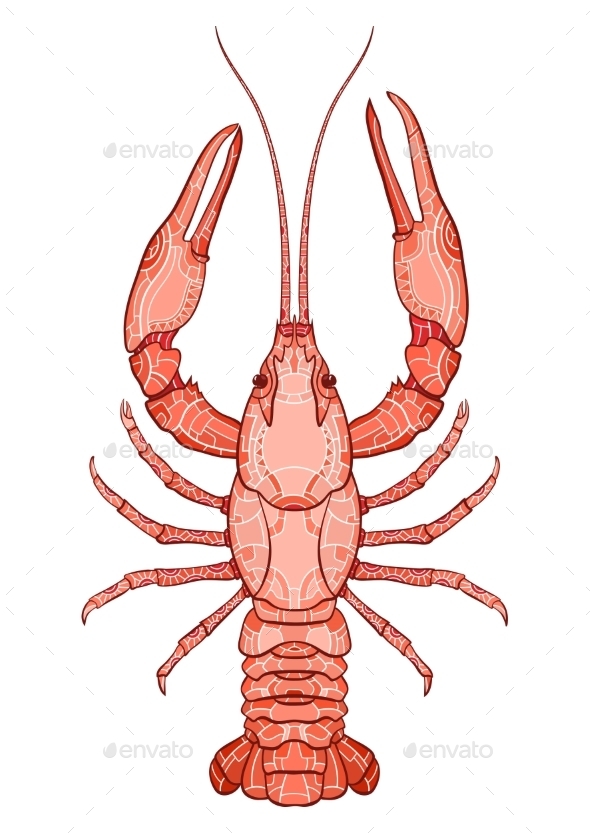 GraphicRiver Decorative Crayfish 11080467 GraphicRiver Decorative Crayfish 11080467