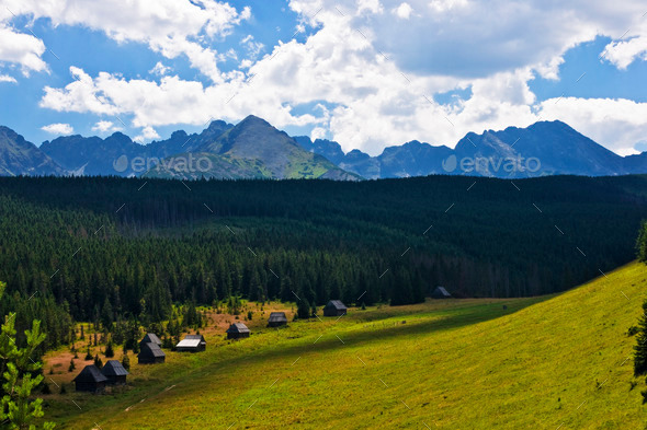 Panorama of Polish Tatra mountains (Misc) Photo Download