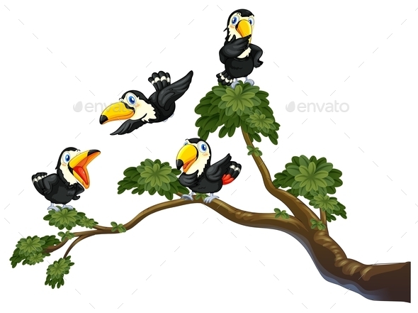 GraphicRiver Toucan and Tree 11086306 GraphicRiver Toucan and Tree 11086306