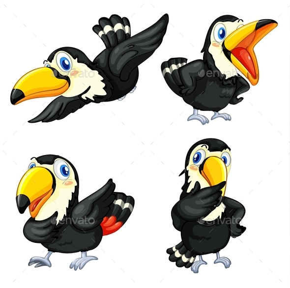 GraphicRiver Toucan Bird Series 11086430 GraphicRiver Toucan Bird Series 11086430