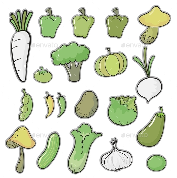 GraphicRiver Various Vegetables 11087222 GraphicRiver Various Vegetables 11087222