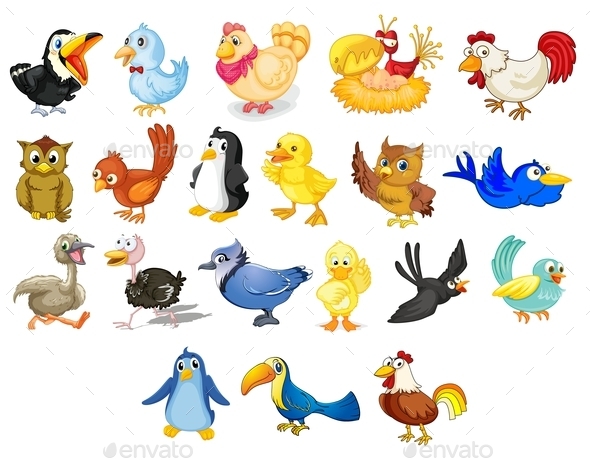 GraphicRiver Birds 11087276 GraphicRiver Birds 11087276