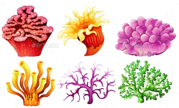 GraphicRiver Coral Reef 11087574 GraphicRiver Coral Reef 11087574