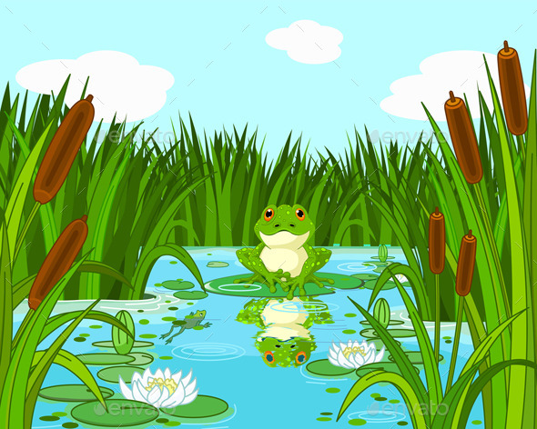 GraphicRiver Frog on the Lily 11090386 GraphicRiver Frog on the Lily 11090386