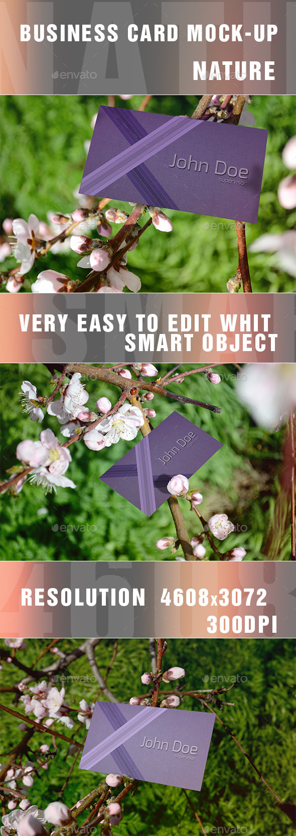 GraphicRiver Business Card Mockups-Nature 11101300 GraphicRiver Business Card Mockups-Nature 11101300