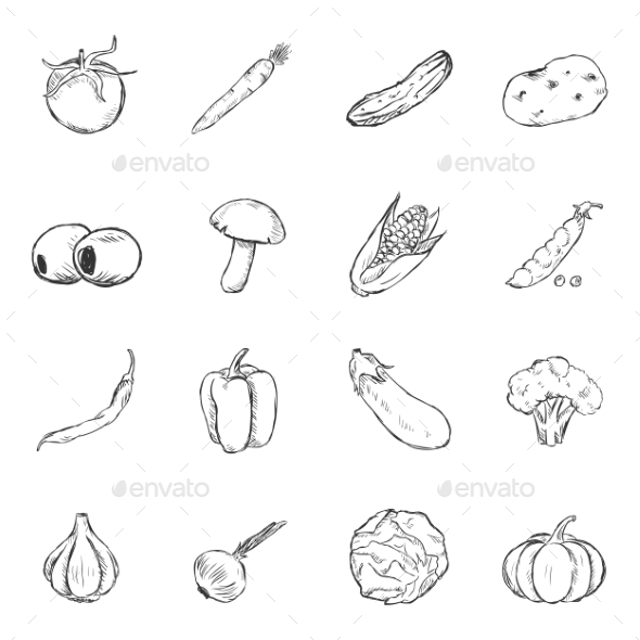 GraphicRiver Set of Sketch Vegetables Icons 11103187 GraphicRiver Set of Sketch Vegetables Icons 11103187