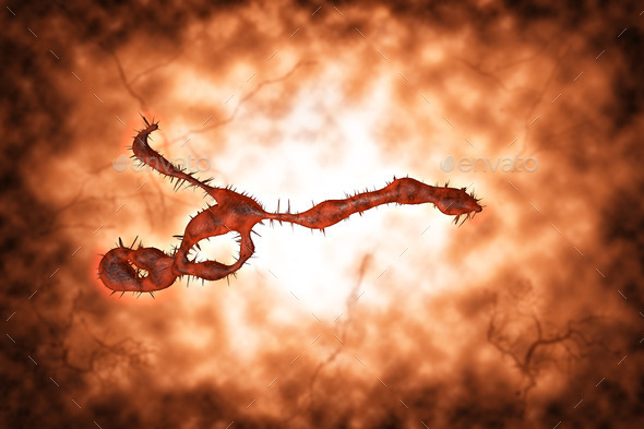 Medical illustration of the Ebola virus (Misc) Photo Download