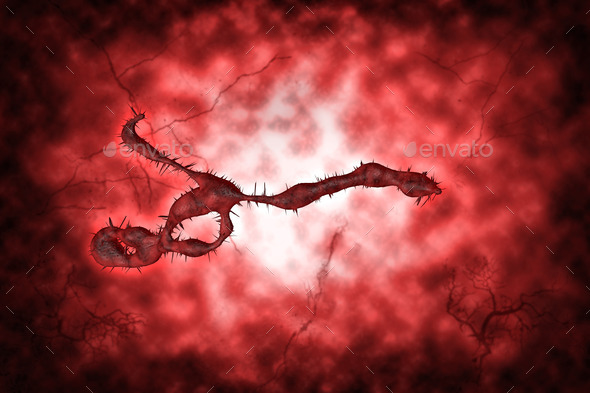 Medical illustration of the Ebola virus (Misc) Photo Download