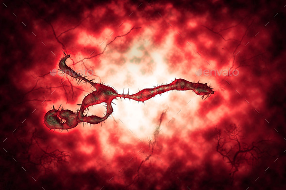 Medical illustration of the Ebola virus (Misc) Photo Download