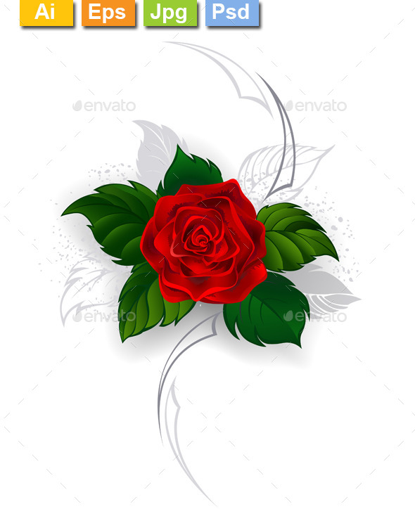 GraphicRiver Blooming Red Rose 11110844 GraphicRiver Blooming Red Rose 11110844