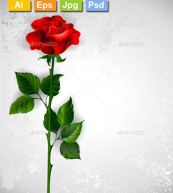 GraphicRiver Straight Red Rose 11111229 GraphicRiver Straight Red Rose 11111229
