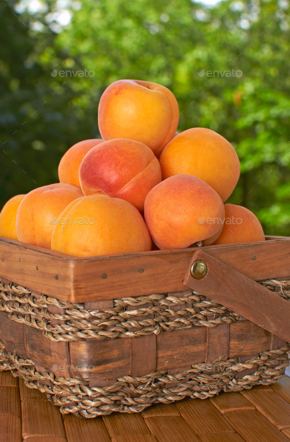 apricot basket (Misc) Photo Download