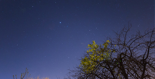 Night Sky With Stars Night Sky With Stars