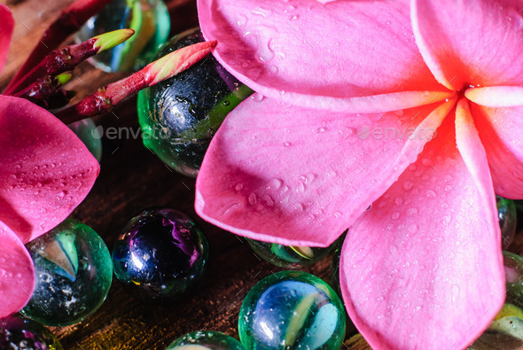  marbles and pink plumeria