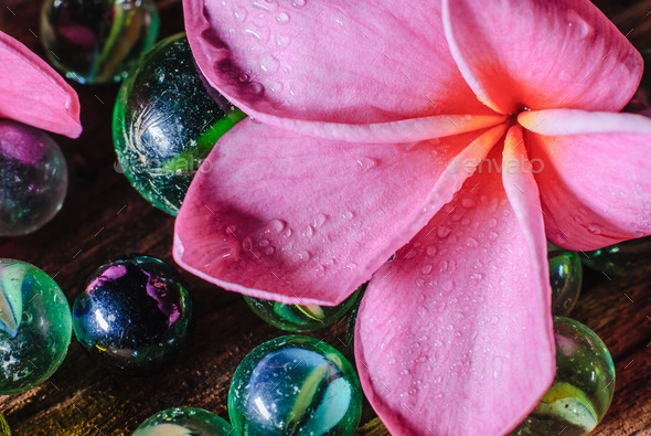 marbles and pink plumeria (Misc) Photo Download