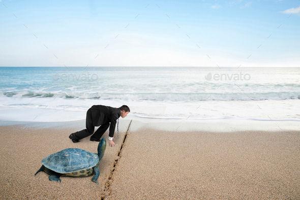 Businessman and turtle are ready to race on sand beach (Misc) Photo Download