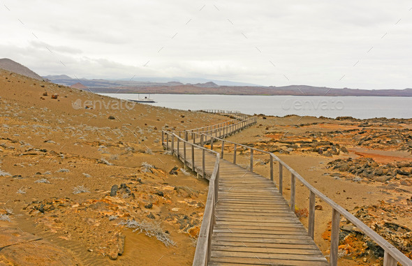 Boardwalk to the Ocean in the Galapagos (Misc) Photo Download