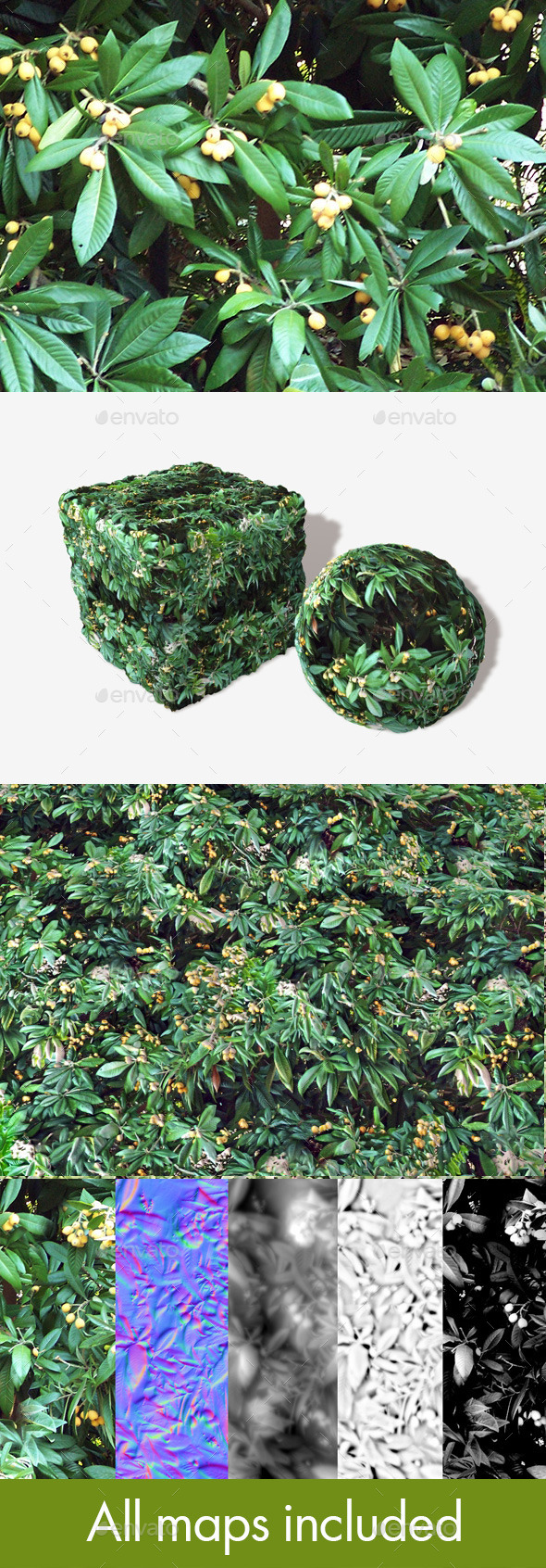 3DOcean Yellow Berry Bush Seamless Texture 11139532 3DOcean Yellow Berry Bush Seamless Texture 11139532