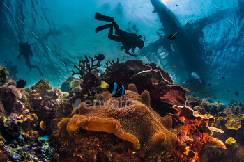 underwater reefscape