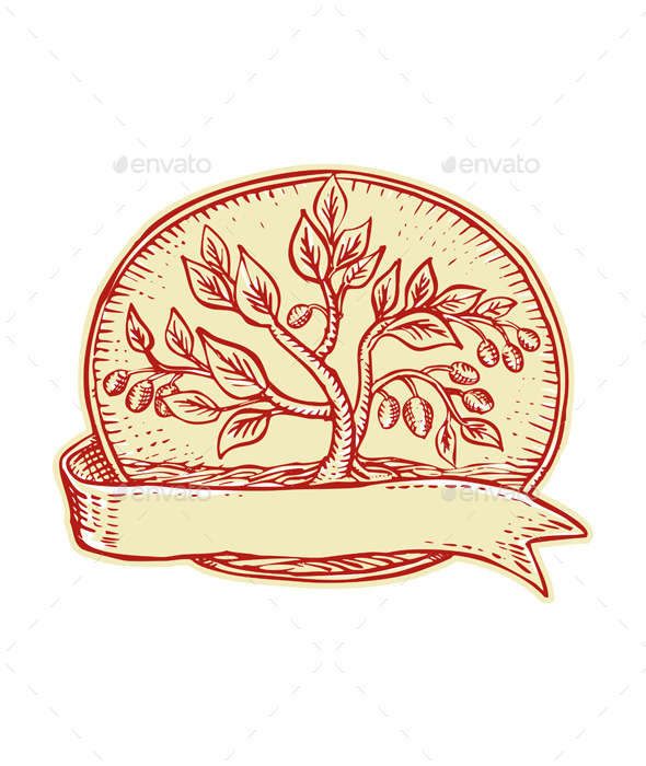 GraphicRiver Olive Tree Ribbon Oval Etching 11148577 GraphicRiver Olive Tree Ribbon Oval Etching 11148577