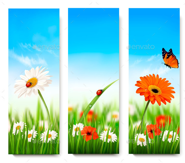 GraphicRiver Summer Banners 11162176 GraphicRiver Summer Banners 11162176