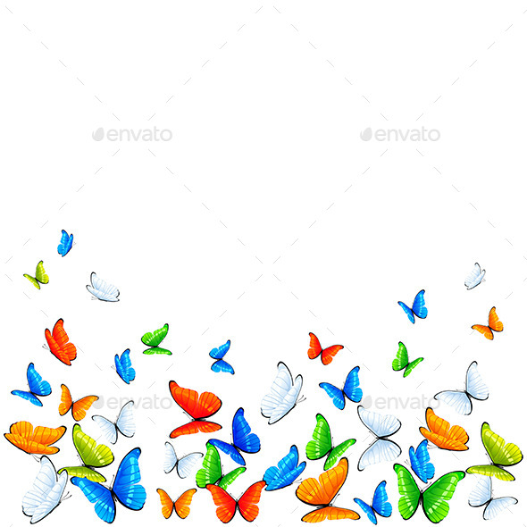 GraphicRiver Butterflies on White Background 11172000 GraphicRiver Butterflies on White Background 11172000