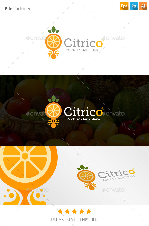 GraphicRiver Orange Juice Logo 11177169 GraphicRiver Orange Juice Logo 11177169