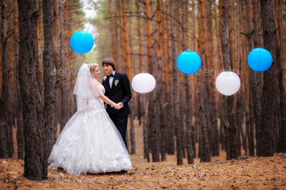 happy bride and groom walking in the autumn forest (Misc) Photo Download