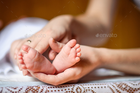 Newborn baby feet in mother's hands (Misc) Photo Download
