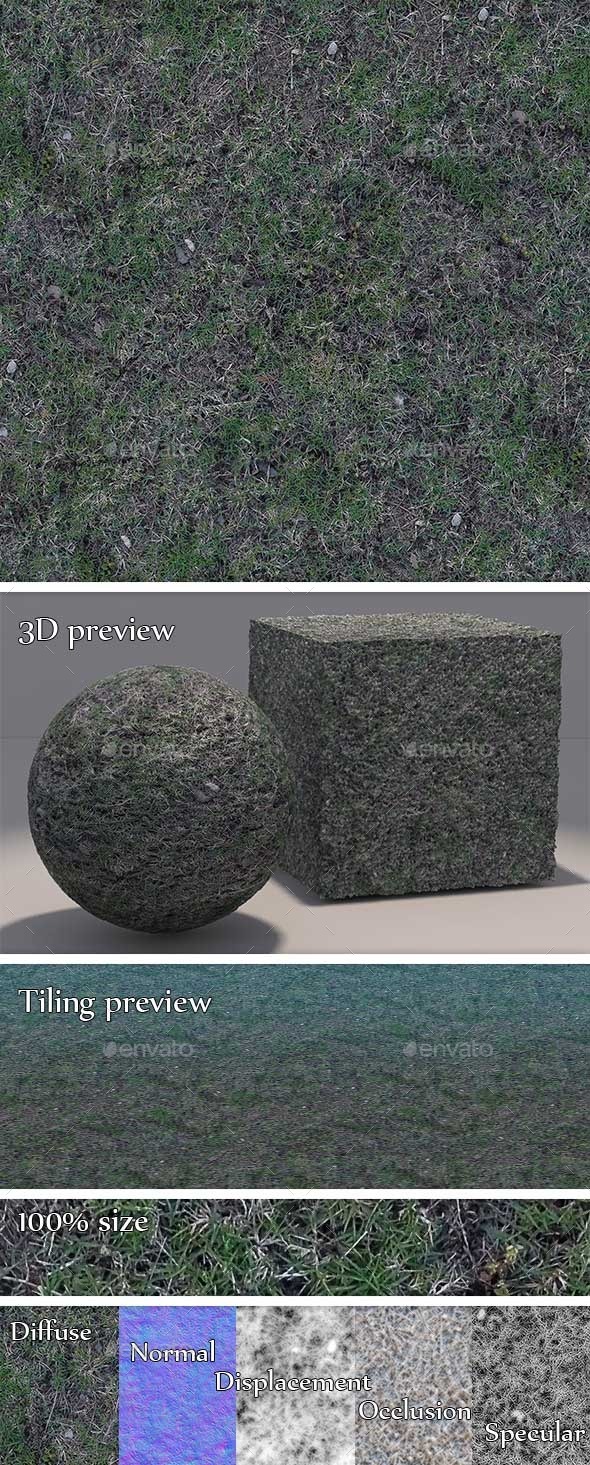 3DOcean Grass Dry and Patchy Seamless Texture 11195554 3DOcean Grass Dry and Patchy Seamless Texture 11195554