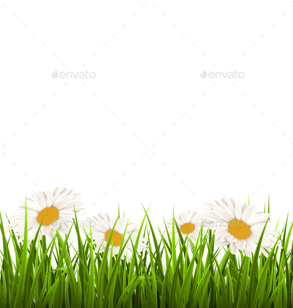 GraphicRiver Green Grass Lawn with White Chamomiles 11199842 GraphicRiver Green Grass Lawn with White Chamomiles 11199842