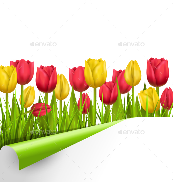 GraphicRiver Yellow and Red Tulips and Wrapped Paper Sheet 11200536 GraphicRiver Yellow and Red Tulips and Wrapped Paper Sheet 11200536