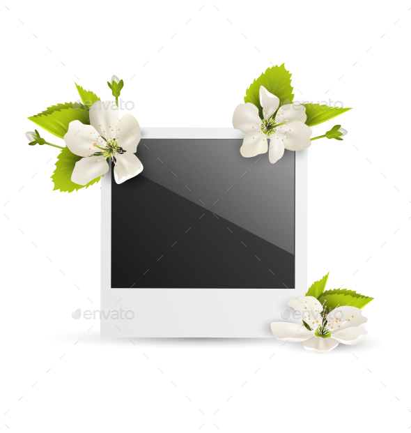 Photo Frame with White Cherry Flowers on White (Flowers & Plants)