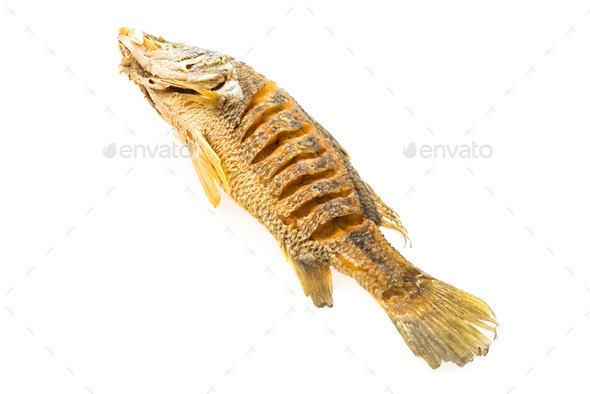 Fried fish isolated (Misc) Photo Download