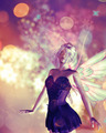 Photo of fairy light bokeh | Free christmas images