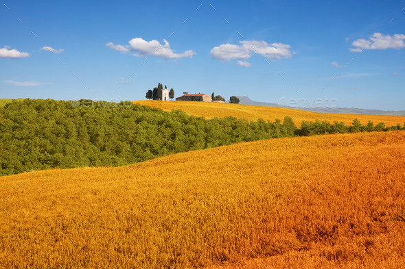 Fields of Tuscany, Italy (Misc) Photo Download