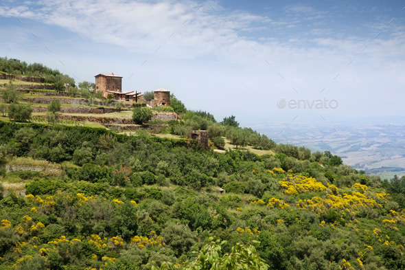 Tuscany summer landscape (Misc) Photo Download