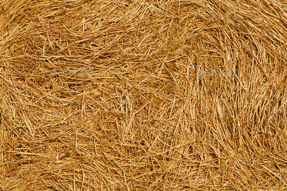 Fresh Straw closeup (Misc) Photo Download